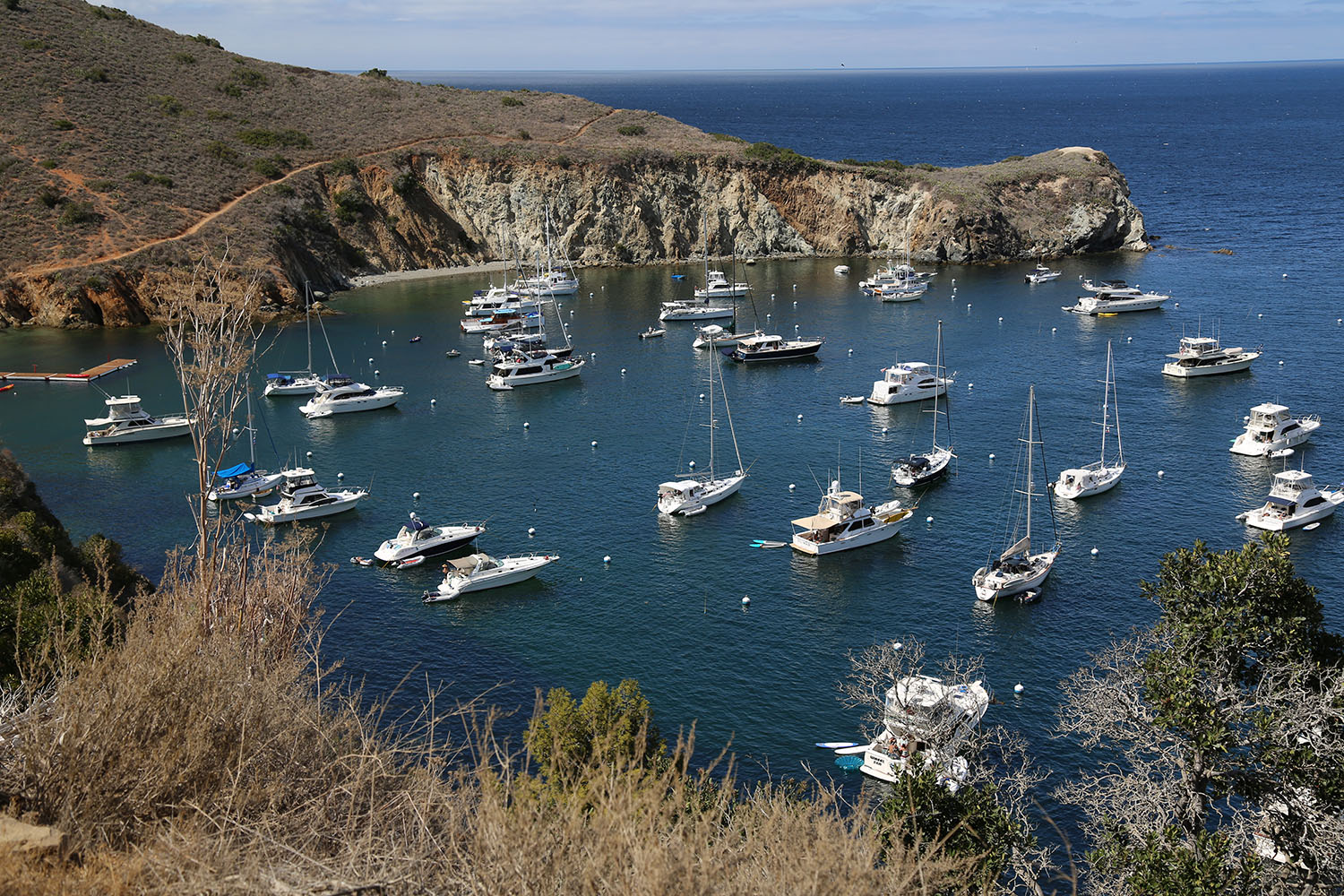cameron mitchell photo of boats
