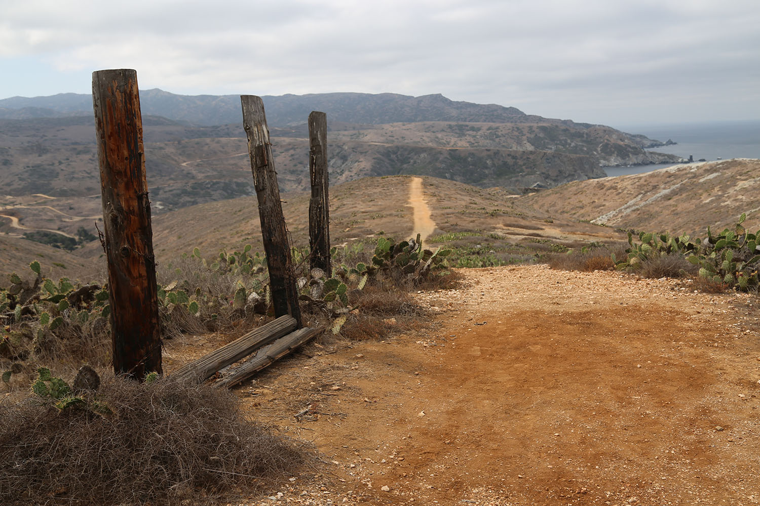 cameron mitchell photo of landscape