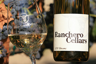 Ranchero Cellars wine with glass